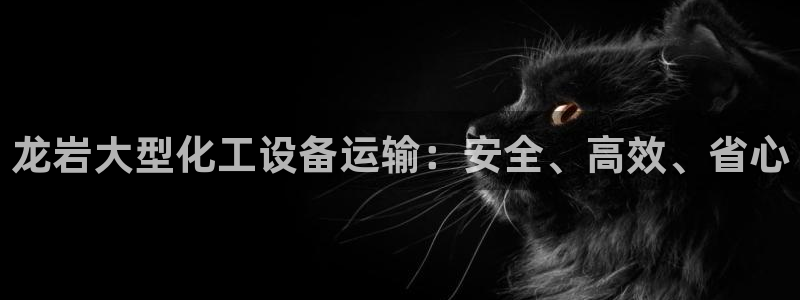 新城平台代理注册公司