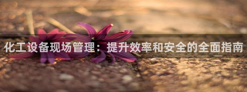 新城平台代理电话