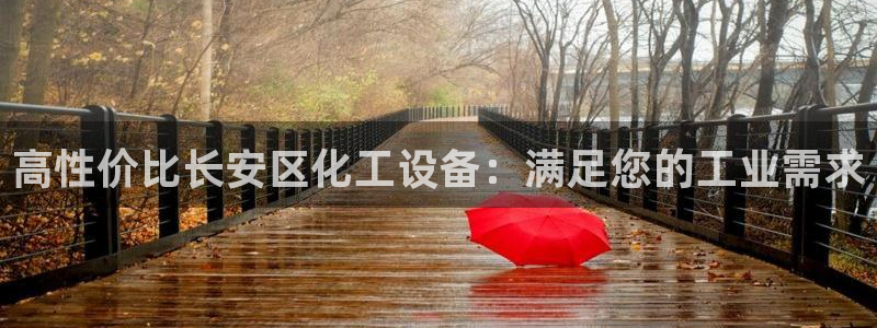 新城平台注册登录地址怎么填