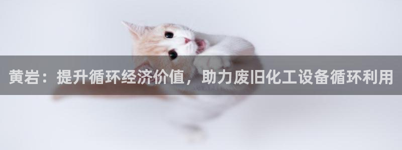 新城平台登录入口官网下载app