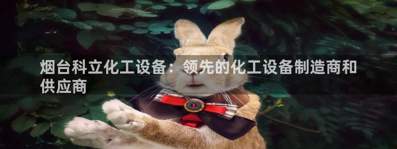 新城平台登录入口官网首页