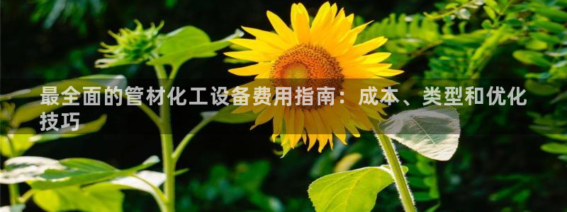 新城平台官网首页