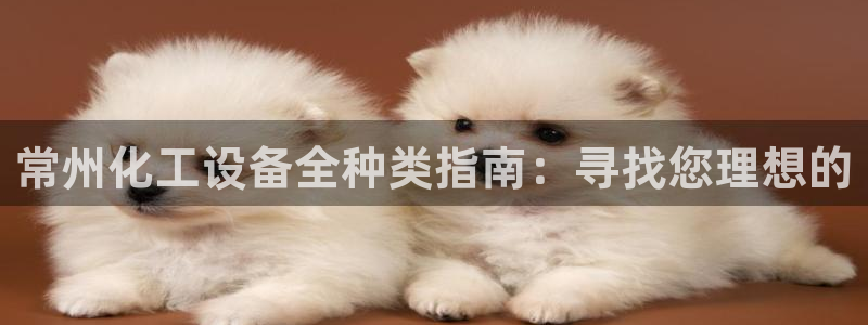 新城平台注册网址是多少