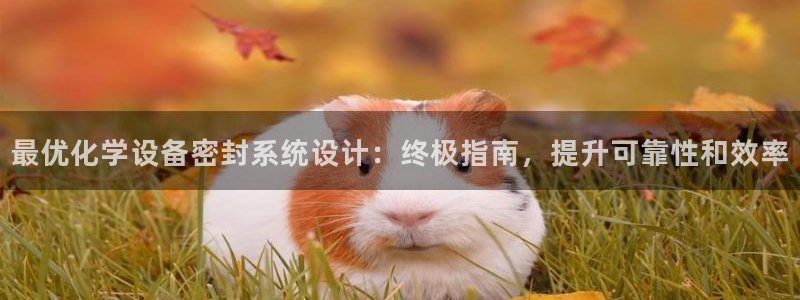 新城平台登录入口官网网址是多少