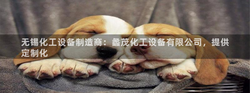 新城平台注册登录地址