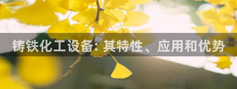 新城平台注册网址查询