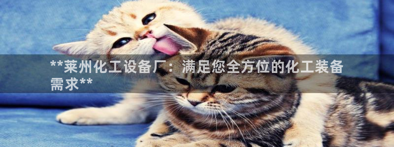 新城平台公司是国企吗