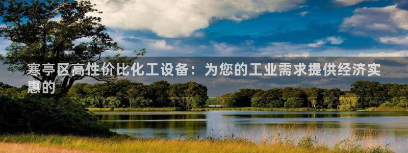 新城平台登录入口网站