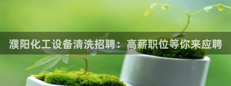 新城平台负责人是谁