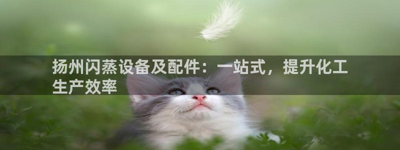 新城平台官网注册