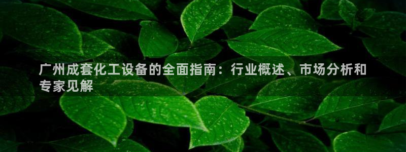 新城平台线路登录不上去怎么回事