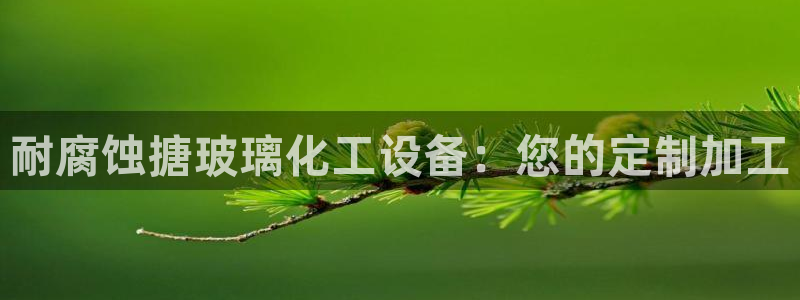 新城平台登录入口官网查询系统