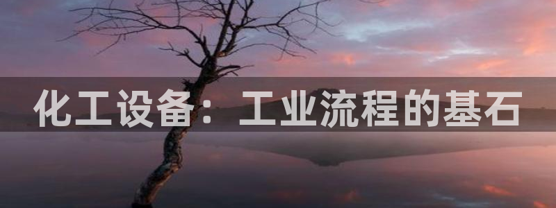 新城平台登录入口官网查询网址