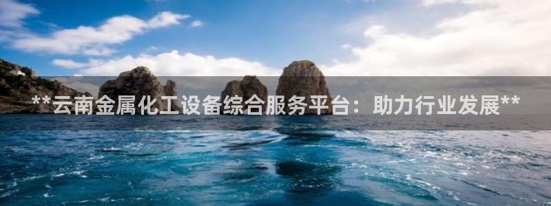 新城平台注册公司流程视频