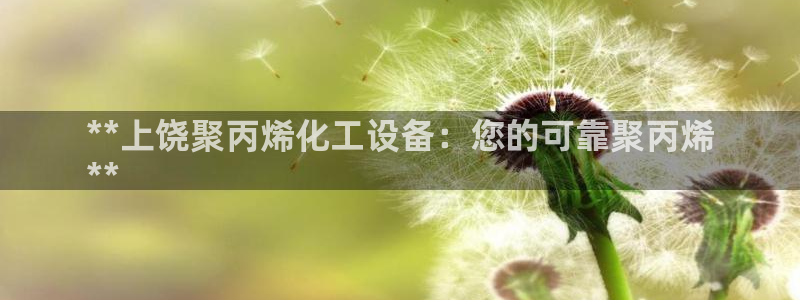 新城平台登录密码忘了