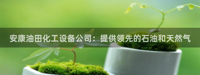 新城平台登录入口官网查询