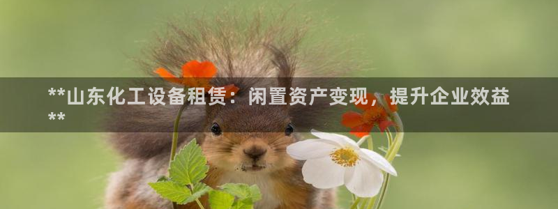 新城平台官网注册