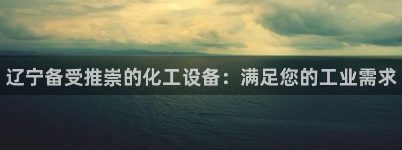 新城平台登录入口官网网址是什么