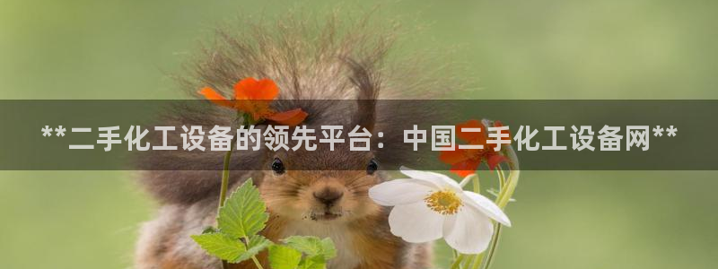 新城平台计7O777