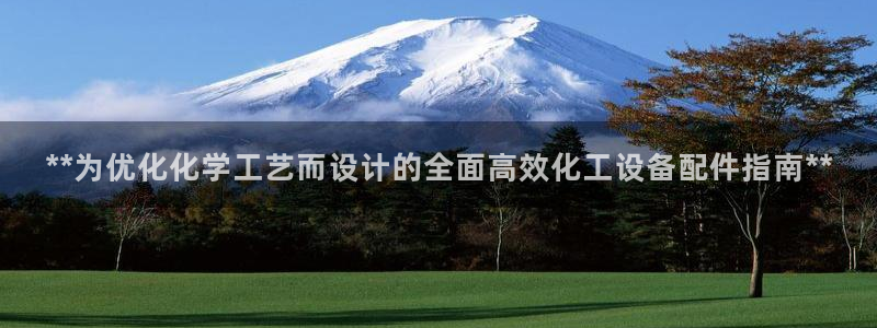 新城平台是干嘛的公司