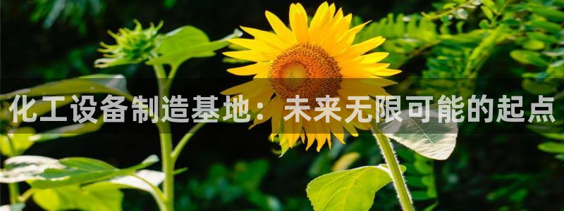 新城平台是干嘛的公司