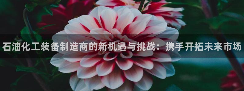 新城平台注册流程及费用：石油化工装备制造商的新机遇与挑战：携