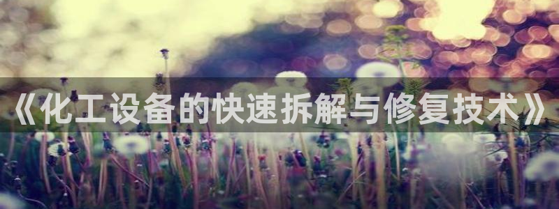 新城平台公司是国企吗：《化工设备的快速拆解与修复技